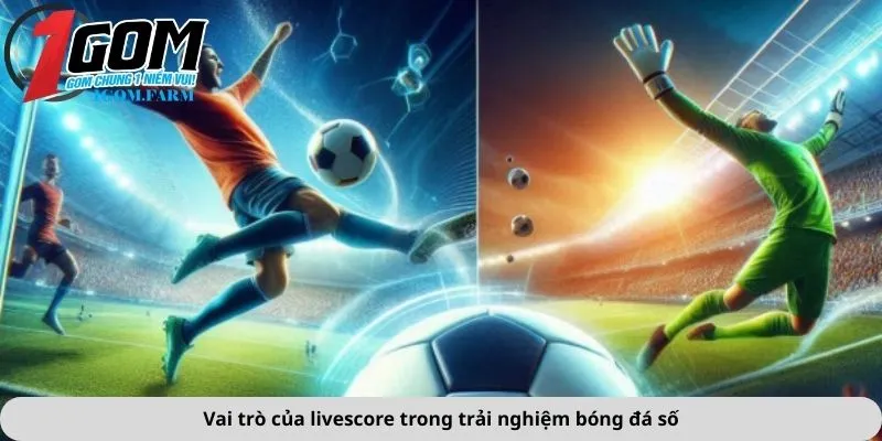Vai trò của livescore trong trải nghiệm bóng đá số