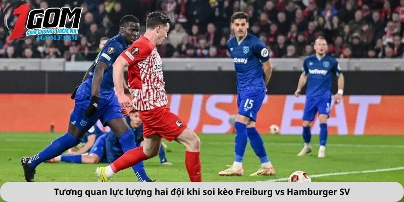 Tương quan lực lượng hai đội khi soi kèo Freiburg vs Hamburger SV
