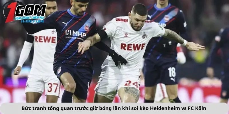 Bức tranh tổng quan trước giờ bóng lăn khi soi kèo Heidenheim vs FC Köln